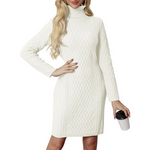 Women's Turtleneck Tunic Mini Bodycon Sweater Dress (Various)