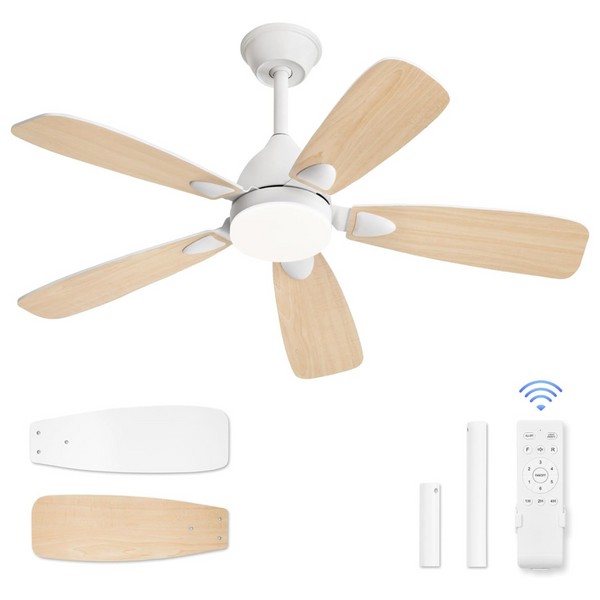 Lediary 42" Ceiling Fans With Lights And Remote