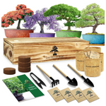 Growing Bonsai Plants Kit with Tools (MH-01)