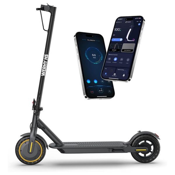 Werhy Cruise Control Electric Scooter With Dual Braking