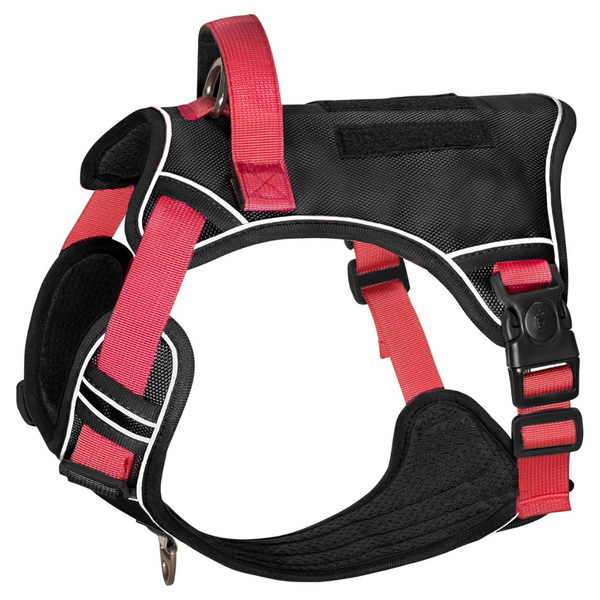 No Pull No Choke Soft Padded Dog Harness With Handle (2 Colors)