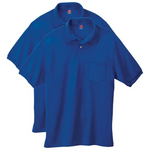 2-Pack Hanes Men's Short-Sleeve Jersey Polo Shirt (Various)
