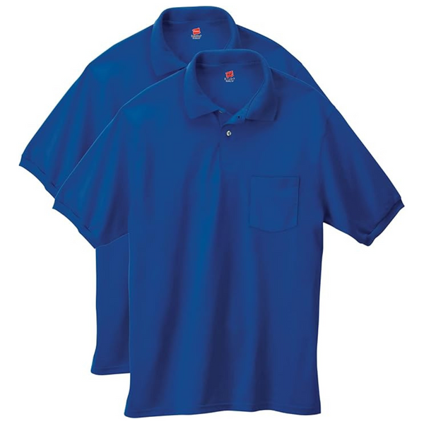 2-Pack Hanes Men's Short-Sleeve Jersey Polo Shirt (Various)