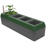 Bio Green Provence Self Watering 4-Herb Window Boxes Planters
