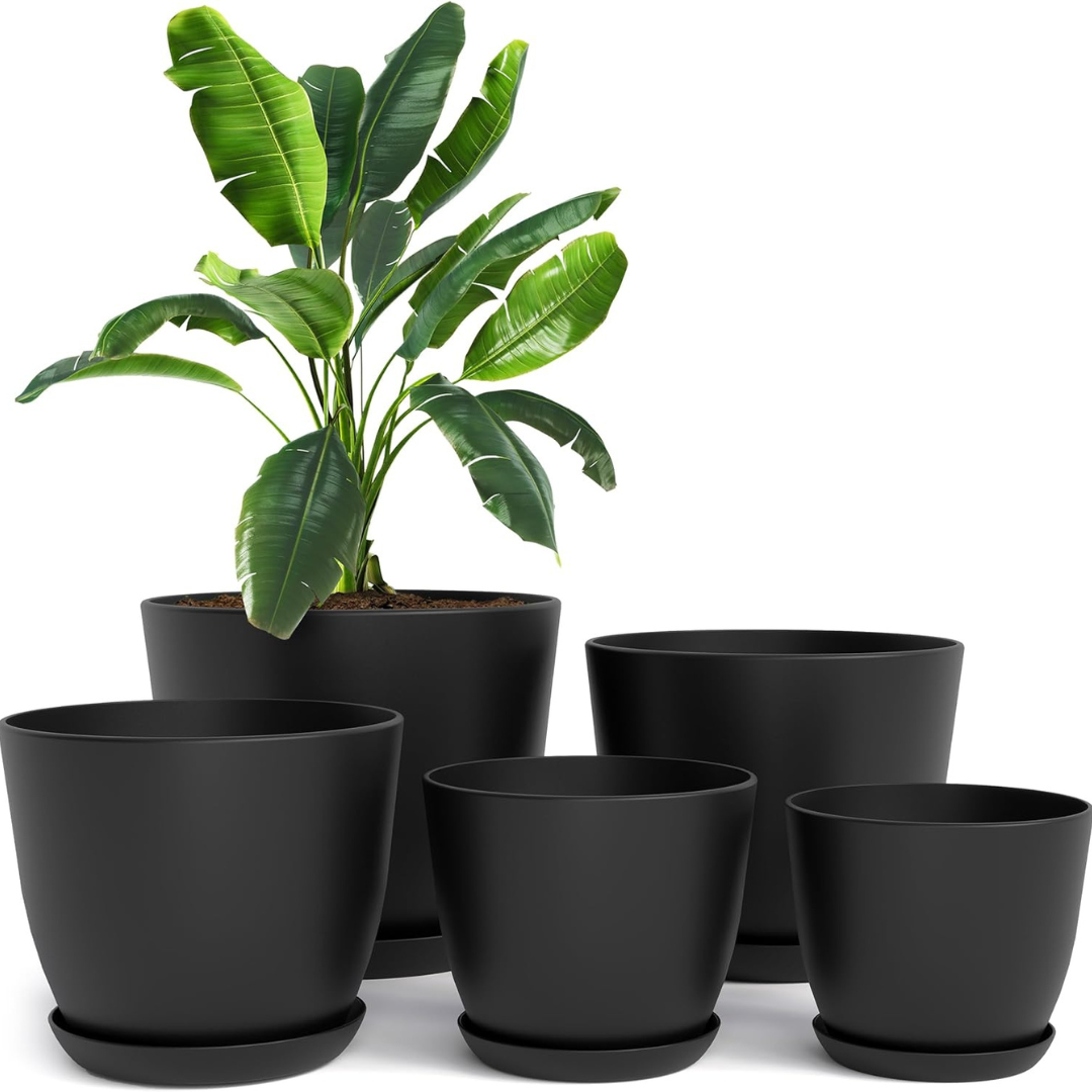 5-Pack Indoor Plastic Plant Pots with Drainage