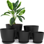 5-Pack Indoor Plastic Plant Pots with Drainage