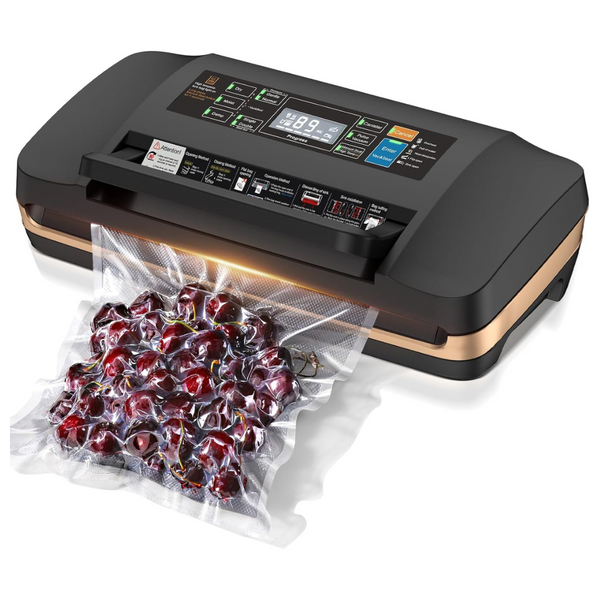 95kpa Automatic Vacuum Sealer Machine