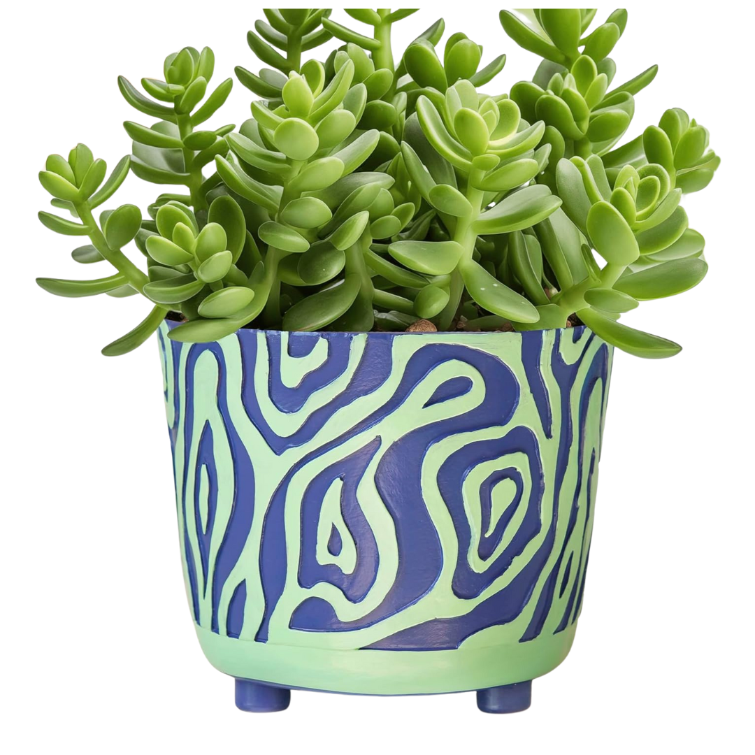 5" Modern Carved Wave Succulent Colorful Planter