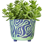 5" Modern Carved Wave Succulent Colorful Planter