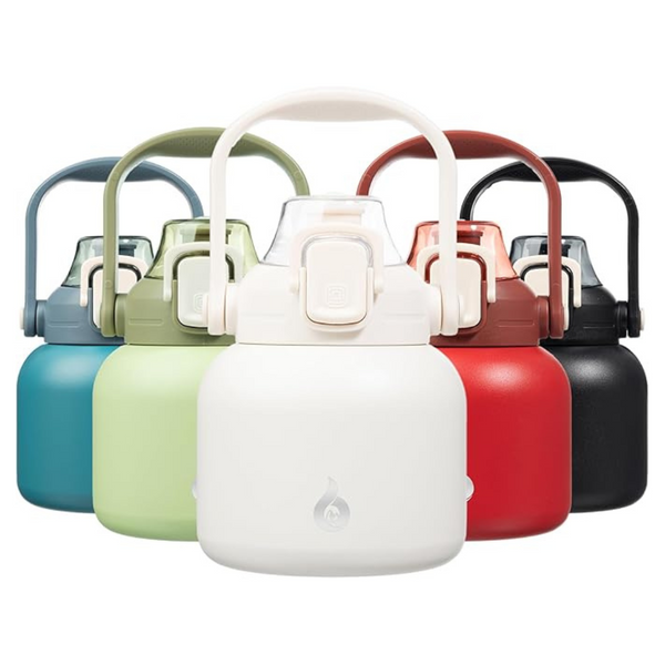 20oz Insulated Water Bottle with Straw & Handle