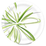 300-Count Amazon Basics 8 5/8" Disposable Everyday Paper Plates