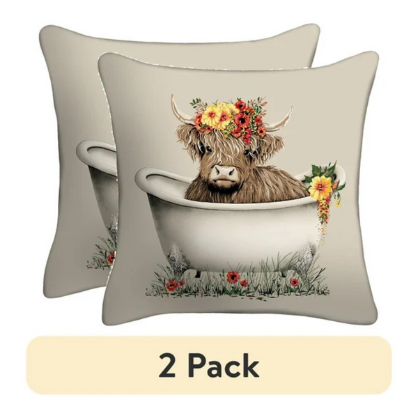 CouponsTravel Deals 2-Pack Mainstays 16" x 16" Decorative Outdoor Throw Pillow
