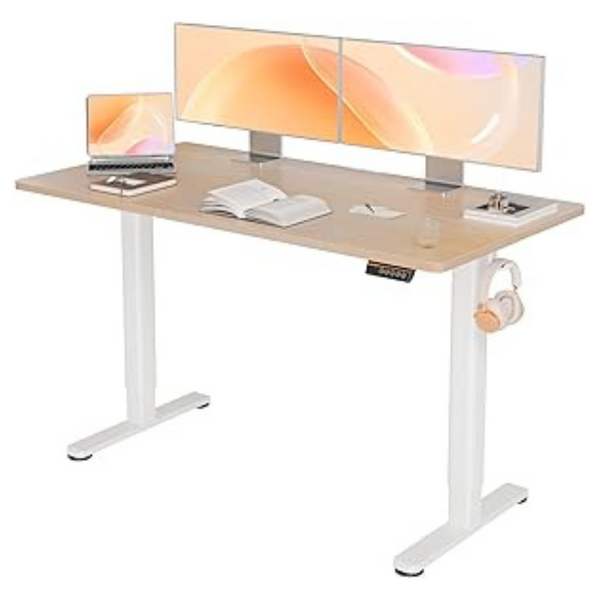 55" x 24" Adjustable Height Electric Standing Desk