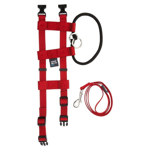 Original American Illusion Collar Training Collar & Lead