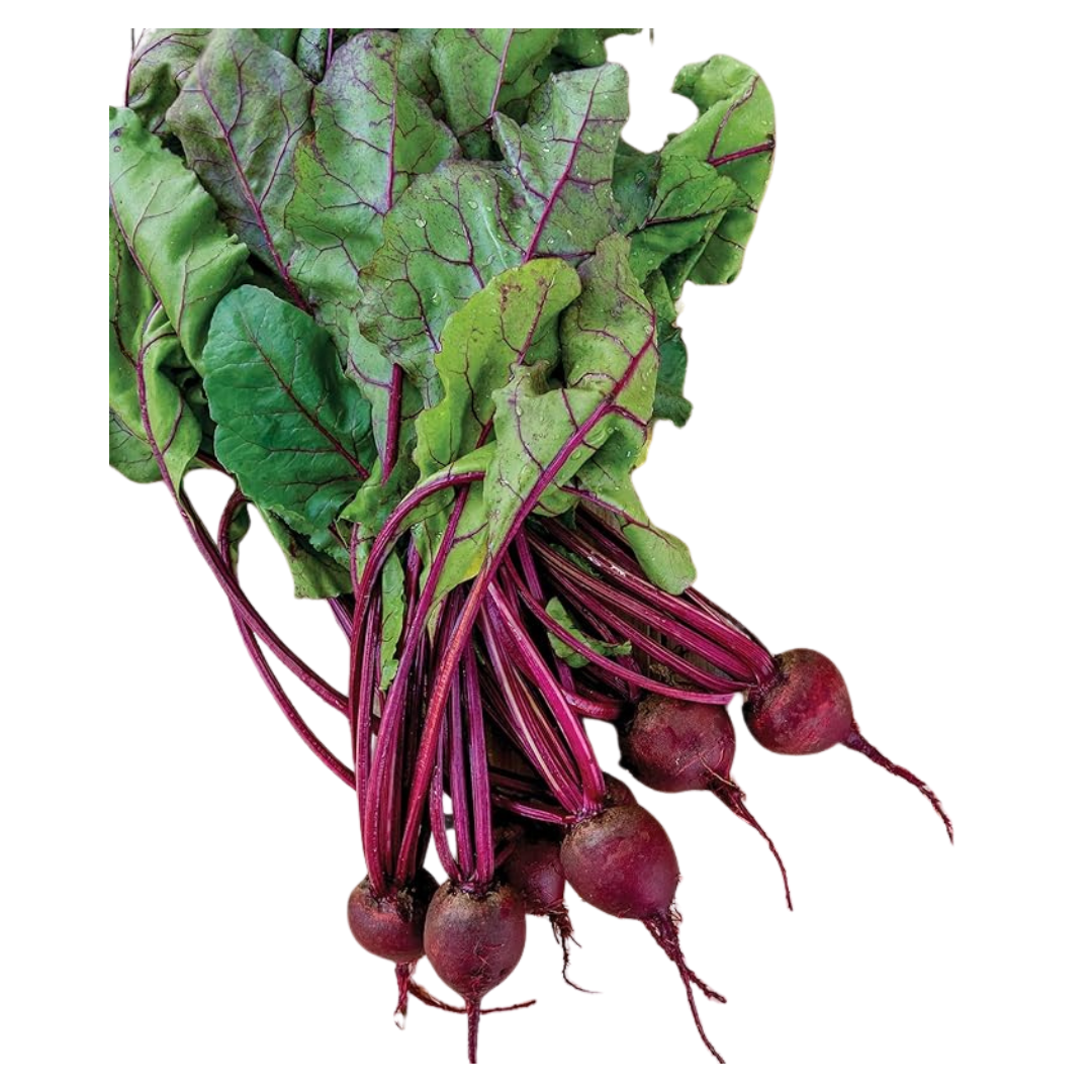 1000 Seeds Burpee Detroit Dark Red Medium Top Beet Seeds