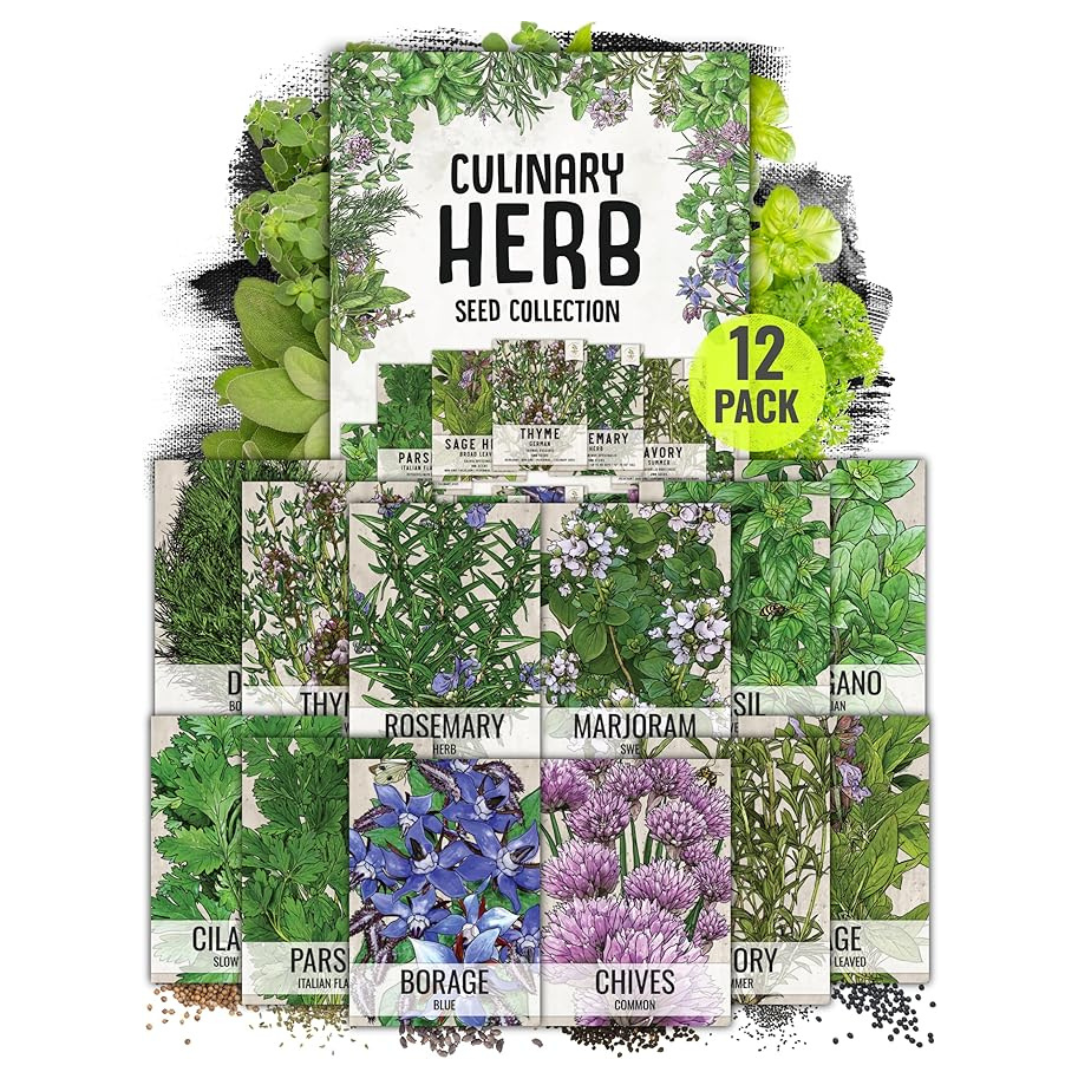 12-Pack Seed Needs Herb Seeds Variety