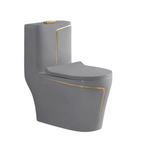 Watermony TzjhO24GGL-ZY Dual-Flush Elongated One-Piece Toilet