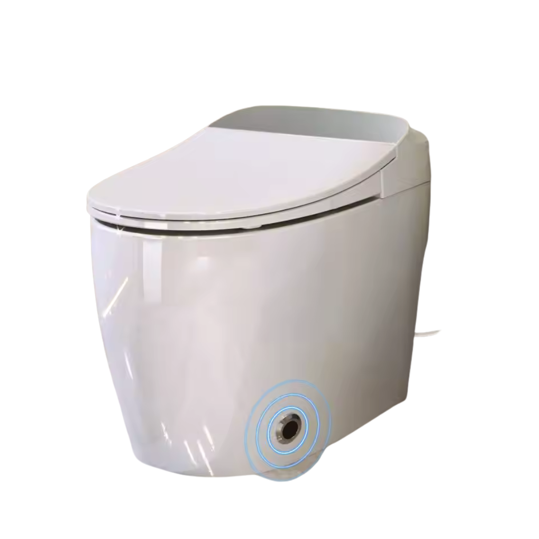 Smart One Piece Automatic Flush Tank Less Toilet