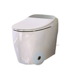 Smart One Piece Automatic Flush Tank Less Toilet