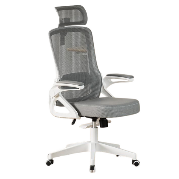 Ergonomic Office Chair With Adjustable Lumbar Support (2 Colors)