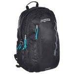 JanSport Women's Agave 15" Backpack