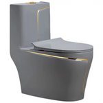 Watermony Dual-Flush Gray Silent Anti-Odor Toilet with Seat