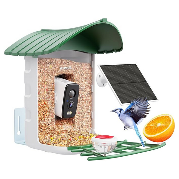 Solar-Powered Bird Feeder Camera With AI Identification