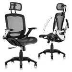 Gabrylly Ergonomic High Back Mesh Office Chair