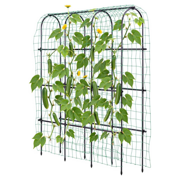 Arched Trellis for Raised Garden Bed 70"