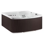Lifesmart 5-Person 65-Jet 230V Standard Spa