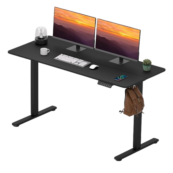 55" x 24" Adjustable Electric Sit/Stand Desk W/Memory Preset