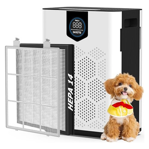 H14 True HEPA Filter Double-Sided Air Inlet Air Purifiers (3000 Sq Ft)