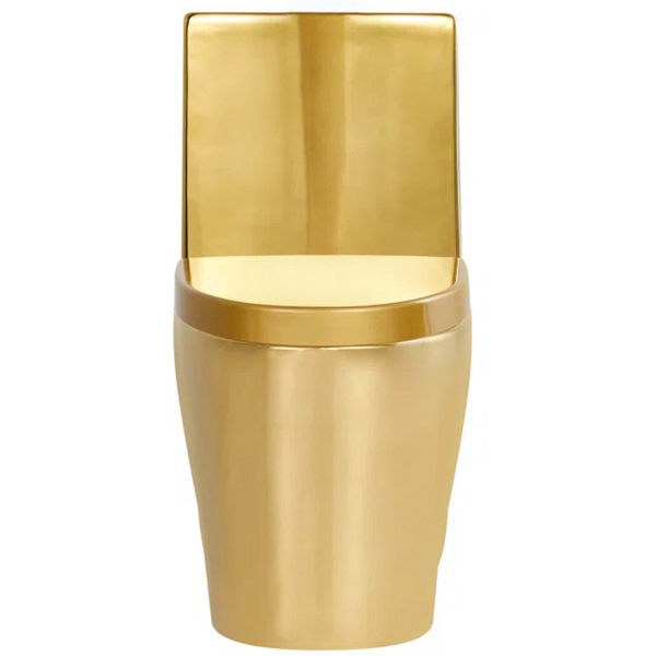 Fine Fixtures Dual-Flush Elongated One-Piece Toilet