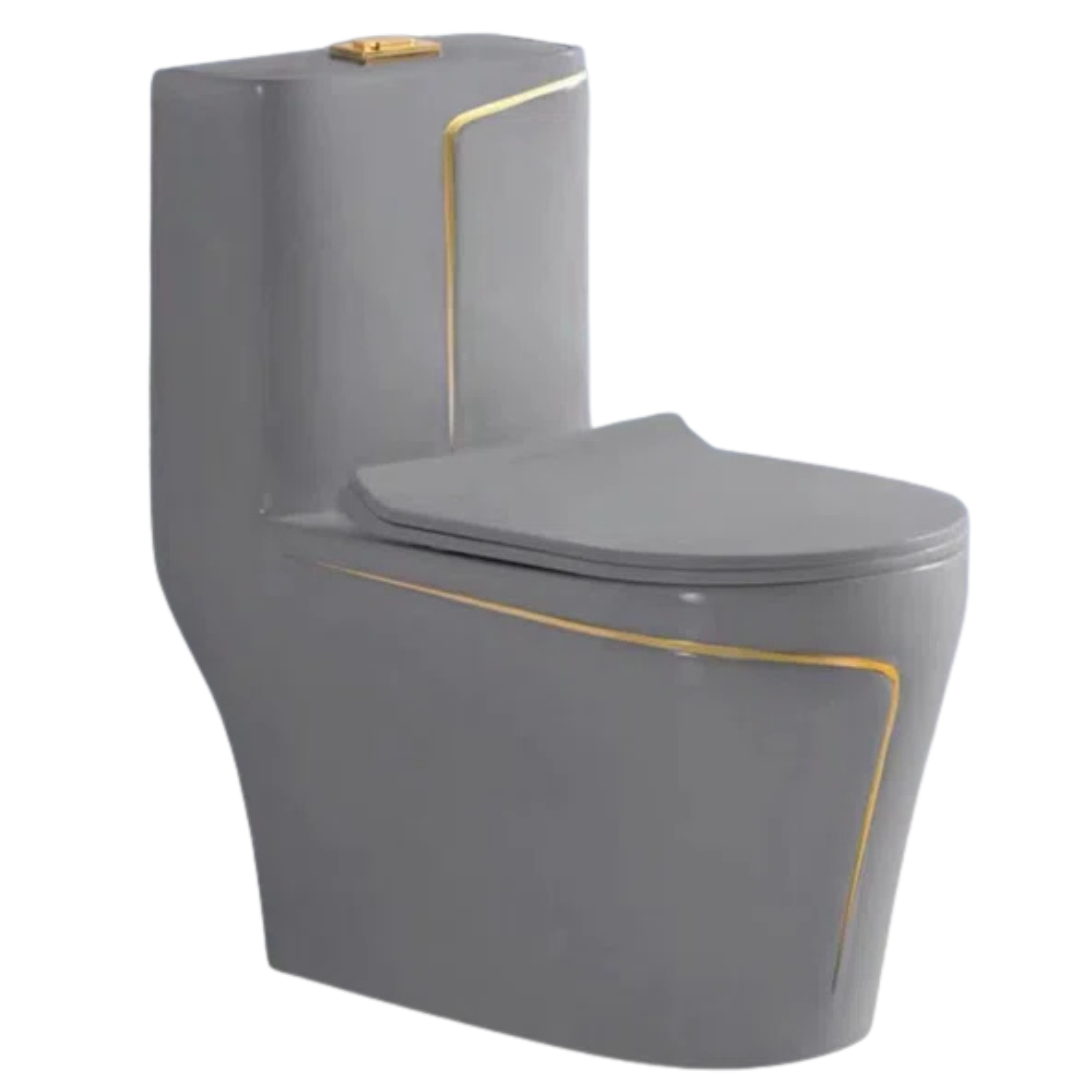 Watermony TzjhO24GGL-ZY Dual-Flush Elongated One-Piece Toilet