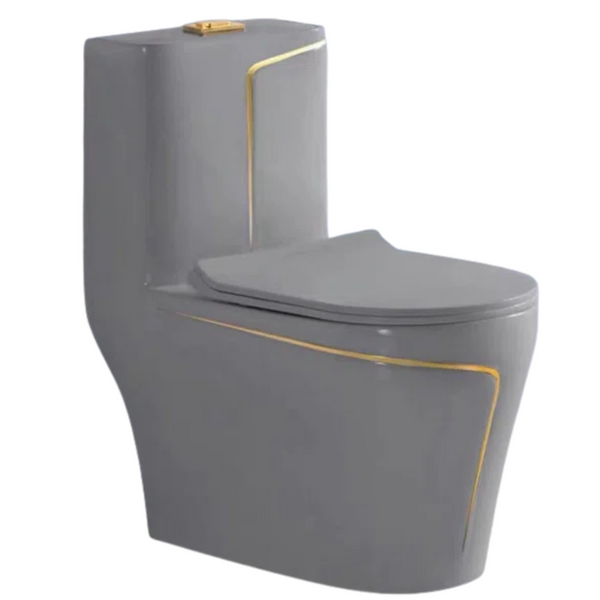 Watermony TzjhO24GGL-ZY Dual-Flush Elongated One-Piece Toilet