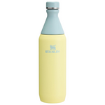 20 oz Stanley Slim Bottle Leakproof Twist on Lid Slim Design