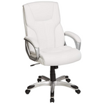 Amazon Basics Executive Home Office Desk Chair w/ Padded Armrests