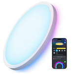 Govee Smart RGBIC LED Ceiling Light Fixture