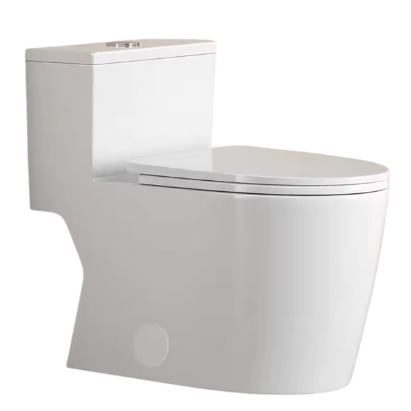 12" Dual Flush One Piece Elongated Modern Toilet