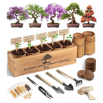 AVERGO 5X Unique Japanese Bonzai Tree Kit For Beginners