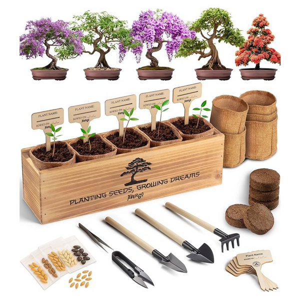 AVERGO 5X Unique Japanese Bonzai Tree Kit For Beginners