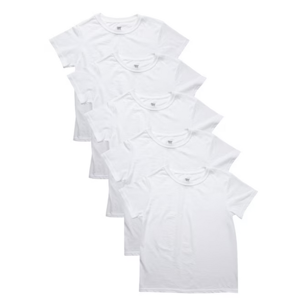 5-Pack Hanes Boys' Eco Blend Crew Undershirt (Various Size)