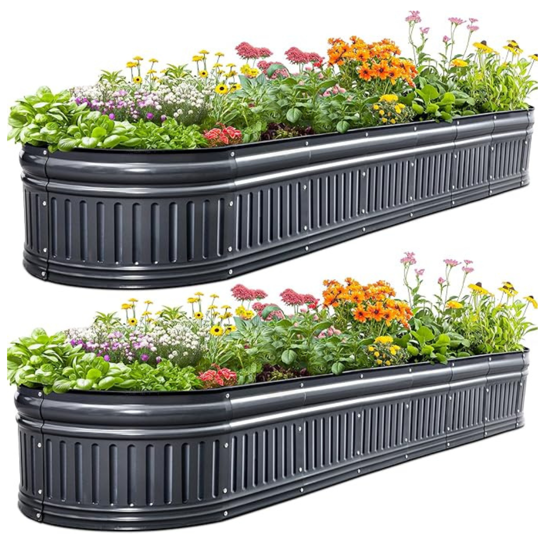 King Bird Raised Garden Bed Kit