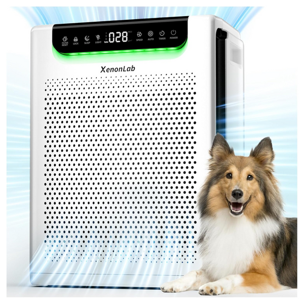 Powerful Turbo Mode Air Purifiers W/ PM2.5 Air Quality Display (2600 Ft2 )