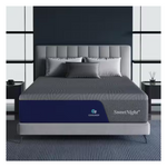 Memory Foam 14" Mattress Bed-In-A-Box Mattresses