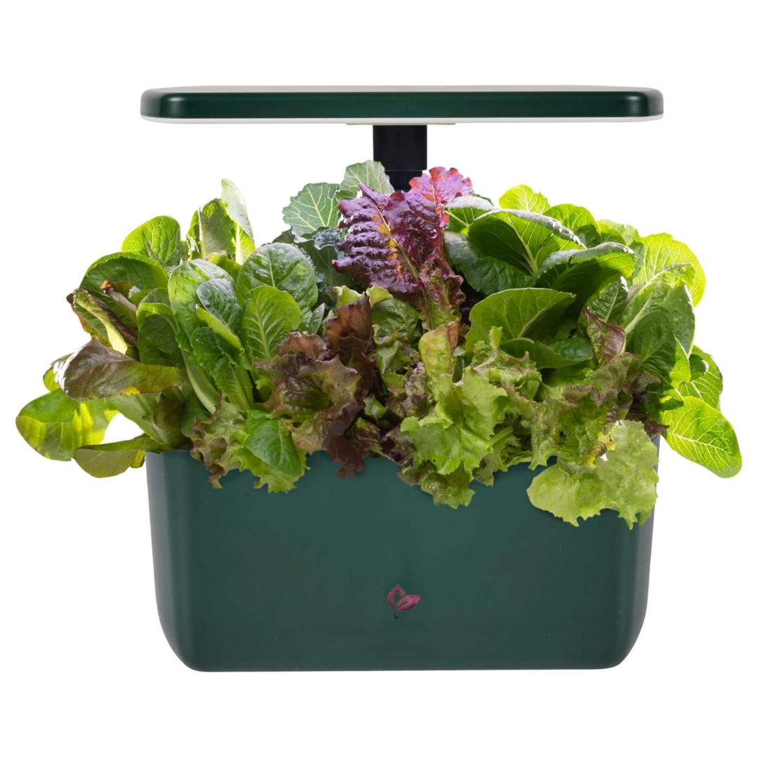 AeroGarden Harvest 2.0 Indoor Garden Hydroponic System