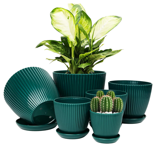 6-Pack Indoor Plant Pot