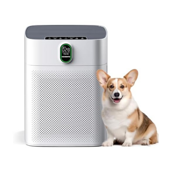 Double-Sided Air Inlet Air Purifiers W/ PM 2.5 Display Air Quality Sensor