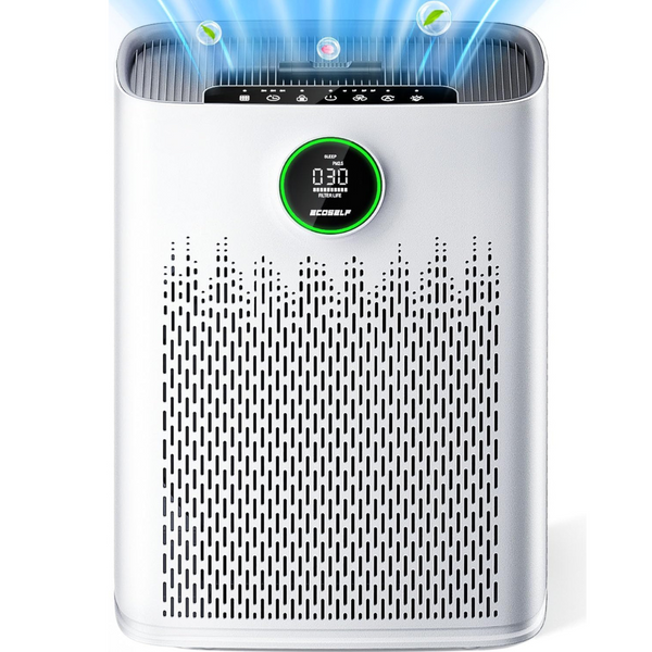 HAP603 Air Purifier for Large Rooms Covers up to 2,200?ft