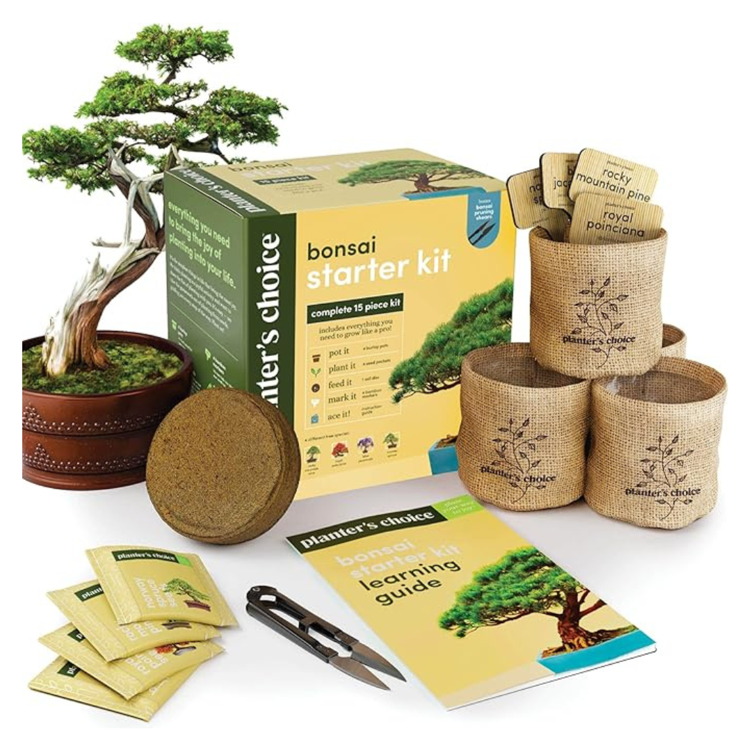 Planters' Choice Bonsai Tree Growing Garden Crafts Hobby Kits